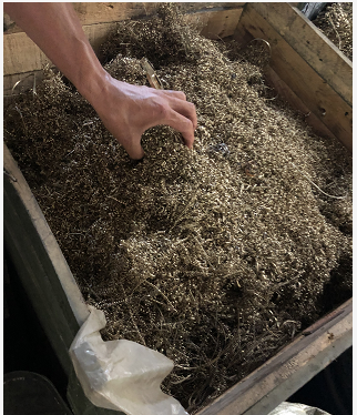 �ٻ�ͭ����